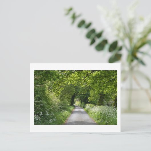 Summer Country Road Briefkaart (Staand voorkant)