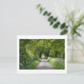 Summer Country Road: Cheshire Briefkaart (Staand voorkant)