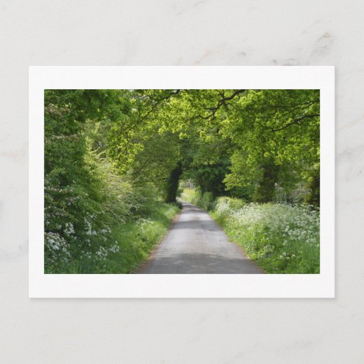 Summer Country Road: Cheshire Briefkaart (Voorkant)