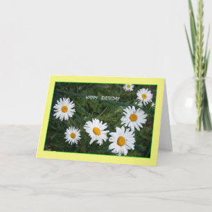 Summer Daisies Birthday Kaart