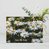 Summer Daisy Enregistrer La Date Invitation (Debout devant)