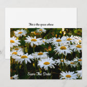 Summer Daisy Enregistrer La Date Invitation (Devant / Derrière)