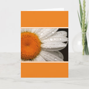 Summer Daisy Folded Blank Wenskaart Kaart