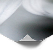 Summer Daisy Poster (Hoek)