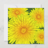 Summer Dandelion Notitiekaartje (Voorkant)
