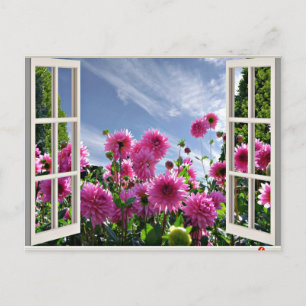 Summer Day, Dahlias in Bloom Briefkaart