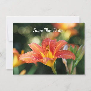 Summer Daylily Flat Enregistrer La Carte Date