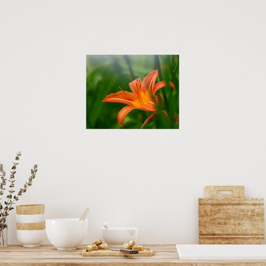 Summer Daylily Print, Value Poster Paper (Matte) (Cuisine)