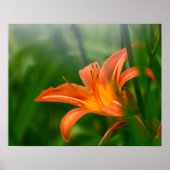 Summer Daylily Print, Value Poster Paper (Matte) (Devant)