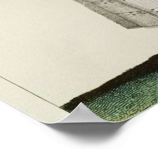 Summer Dress, mode bord uit 'Incroyables et M Poster (Hoek)