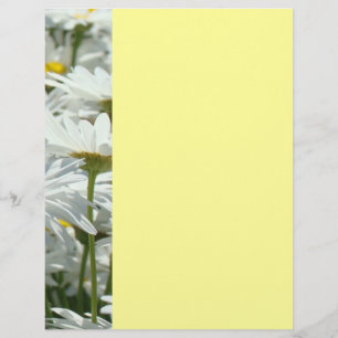 Summer Events Flyers Party Daisy Flowers Floral