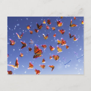 Summer Fantasia Briefkaart