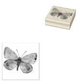 Summer Feelings Vlinder Stempel (Gestempeld)