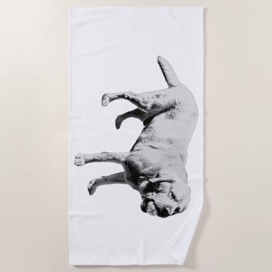 Summer Fetch Strandlaken (Voorkant)