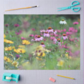 Summer Field of Coneflowers Tissuepapier (Craft)