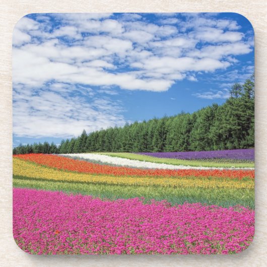 Summer Field Rows of Flowers Bier Onderzetter (Voorkant)