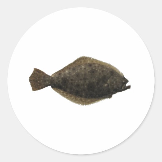 Summer Flounder Ronde Sticker (Voorkant)