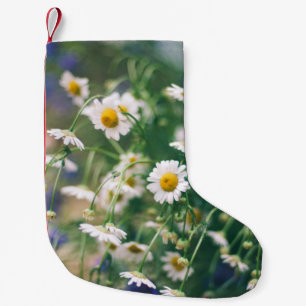 Summer flower pattern in meadow with blue an kleine kerstsok
