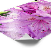 Summer Flowers Foto Afdruk (Hoek)