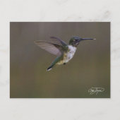 Summer Fun Briefkaart (Voorkant)