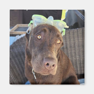 Summer Fun Lab Puppy Magneet