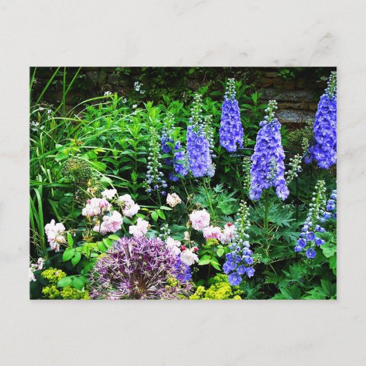 Summer Garden Briefkaart (Voorkant)