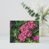 Summer Garden Briefkaart (Staand voorkant)