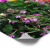 Summer Garden Poster (Hoek)