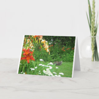 Summer Garden Wenskaart Kaart