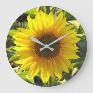 Summer Glow Sunflower Grote Klok