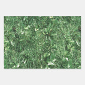 Summer Grass Inpakpapier Vel (Voorkant)