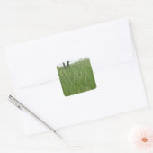 Summer Grass Sticker van H.A.S. Arts (Envelop)