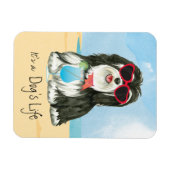 Summer Havanese Magneet (Horizontaal)