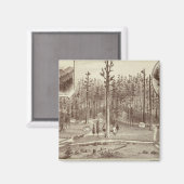 Summer Home, Lewis Magneet (Voorkant / Achterkant)