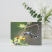 Summer Hummer Briefkaart (Staand voorkant)