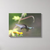 Summer Hummer Canvas Afdruk (Voorkant)
