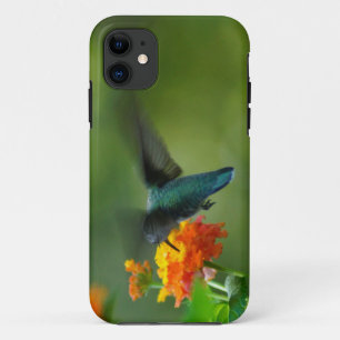 Summer Hummer. iPhone 11 Hoesje