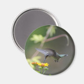 Summer Hummer Magnet Magneet (Voorkant / Achterkant)