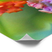 Summer Hummer Poster (Hoek)