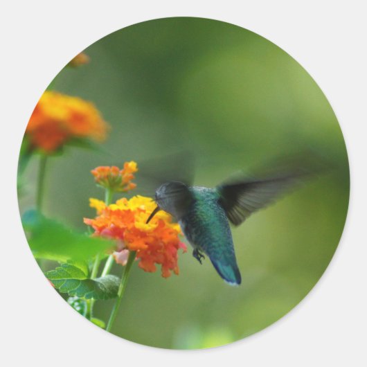 Summer Hummer. Ronde Sticker (Voorkant)