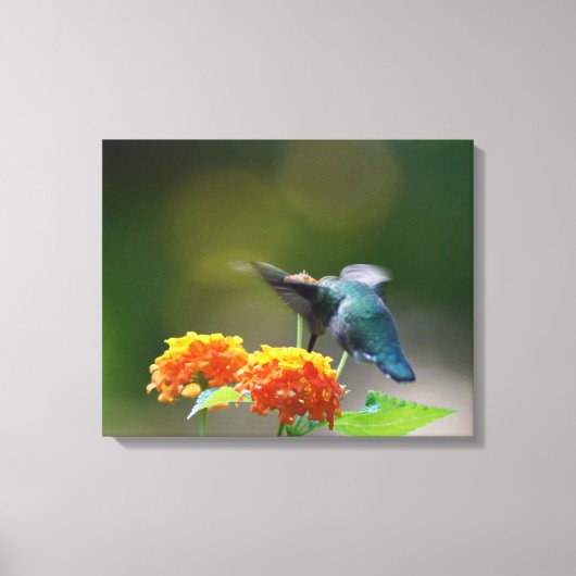 Summer Humming Canvas Afdruk (Voorkant)
