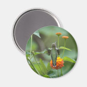 Summer Humming Magneet (Voorkant / Achterkant)