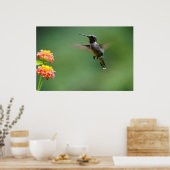 Summer Humming Poster (Keuken)