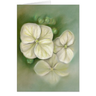 Summer Hydrangea Blossom Pastel