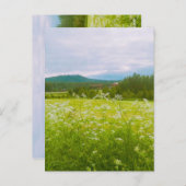 Summer in Hälsingland - Helsingia Briefkaart (Voorkant / Achterkant)