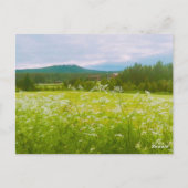 Summer in Hälsingland - Helsingia Briefkaart (Achterkant)