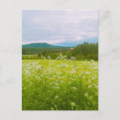 Summer in Hälsingland - Helsingia Briefkaart (Voorkant)