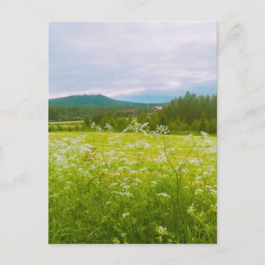 Summer in Hälsingland - Helsingia Briefkaart (Voorkant)