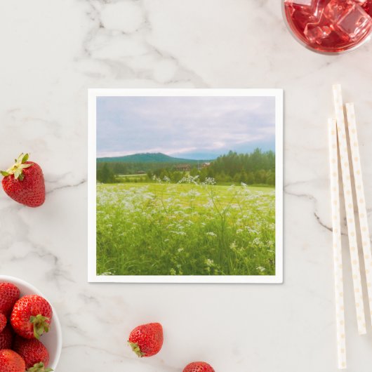 Summer in Hälsingland - Helsingia Servet (Insitu)