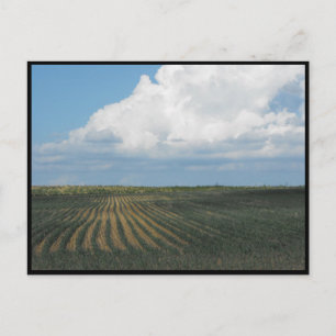 ~ Summer in Lancaster County ~ 34 Briefkaart